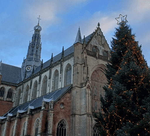 Fijne feestdagen - website