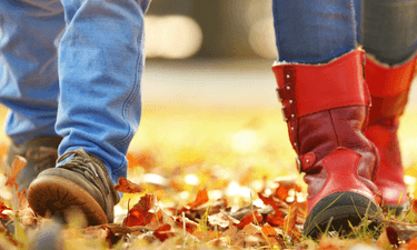 Wandelen in de herfst - nieuwsbericht website