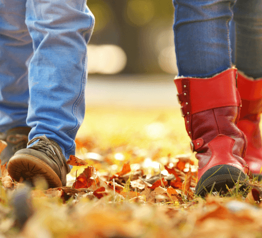 Wandelen in de herfst - nieuwsbericht website
